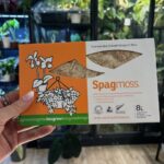Mech sphagnum Besgrow, nowozelandzki, prasowany 100 g/8 L