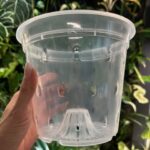 transparentna niska doniczka z perforacją (truskawka) 17 cm