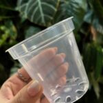 Plastikowa transparentna gruba doniczka 7,6 cm