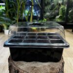 Miniszklarenka / propagator do roślin 18x15x11 cm