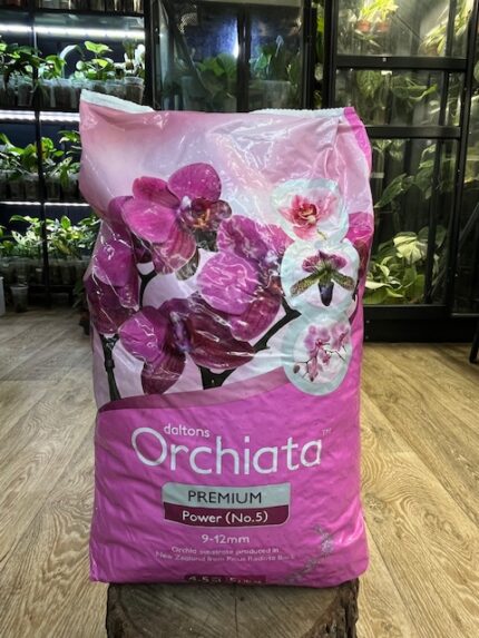 Orchiata Premium 9–12 mm – profesjonalne podłoże do storczyków