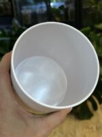 Biała elegancka osłonka na rośliny  11 cm – lekka i odporna - obrazek 5