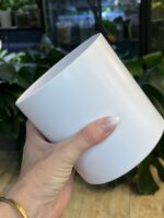 Biała elegancka osłonka na rośliny 12 cm – lekka i odporna - obrazek 3