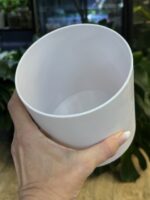 Biała elegancka osłonka na rośliny 12 cm – lekka i odporna - obrazek 5