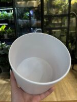 Biała elegancka osłonka na rośliny 16 cm – lekka i odporna - obrazek 3