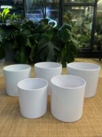 Biała elegancka osłonka na rośliny  11 cm – lekka i odporna - obrazek 6