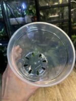 Plastikowa transparentna gruba doniczka 15 cm - obrazek 4