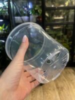 Plastikowa transparentna gruba doniczka 15 cm - obrazek 3