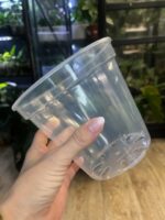 Plastikowa transparentna gruba doniczka 15 cm - obrazek 2